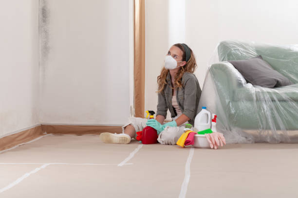 Reliable Mold Inspection And Testing contractor in Zebulon, NC by 24 Hour Mold Removal